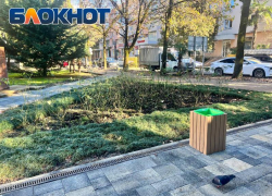 В Сочи зарезервировали более 500 мест для озеленения и благоустройства