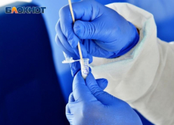 Одну из жертв чачи-убийцы с рынка Сочи удалось спасти 