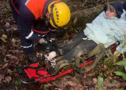 Туристка травмировала ногу, гуляя по лесу в Сочи