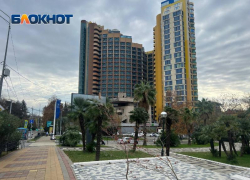 Активисты из Сочи попросили Мишустина отложить принятие генплана