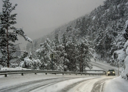 ГИБДД призывает!