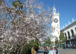 Весна устроит " репетицию" на  нынешней неделе