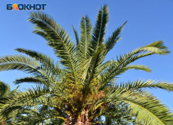 «Цены как в Дубае, сервис как в СССР»: россиянка высказалась об отдыхе в Сочи