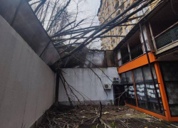 Деревья падают, ситуация критическая, никто не помог: жители многоквартирного дома в Сочи, которому угрожает оползень, жалуются на бездействие 