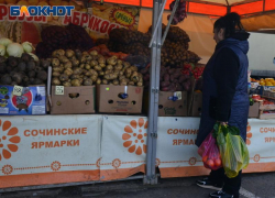  На 350 % увеличился показатель овощеводства в 2023 году в Сочи