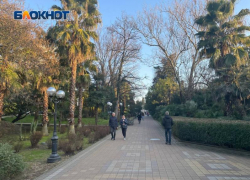 Сочи стал лидером среди популярных направлений для туризма в 2026 году