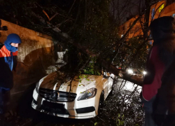 Спасатели и пожар тушили и деревья убирали