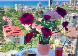 Доброе утро, Сочи!