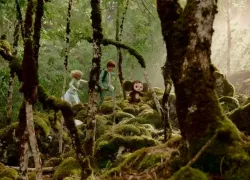  Съемки «Чебурашки 2» завершились в Сочи