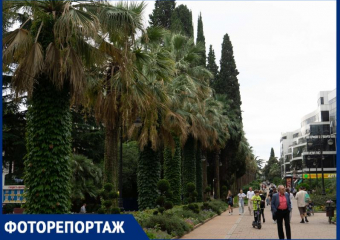 В День туризма «Блокнот» составил топ-3 сочинских мест для отдыха