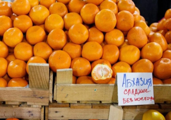Абхазия увеличила экспорт мандаринов в Россию