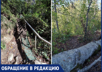 Местная жительница пожаловалась на состояние троп в Сочинском национальном парке