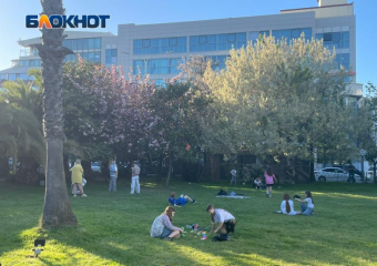 Суд отобрал 1,5 га сквера в Сочи у компании «Русичи», которая 27 лет владела землей