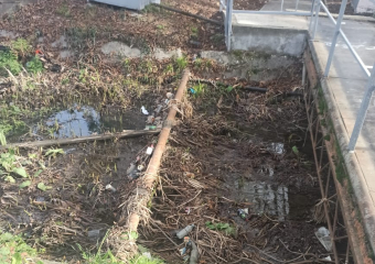 Пейзаж не в радость