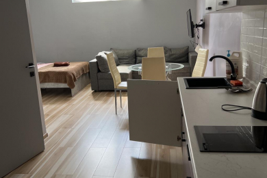 Аренда квартиры в центре города для семейного отдыха - 