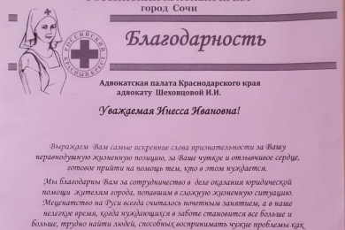 Услуги адвоката Шеховцовой Инессы Ивановны - 