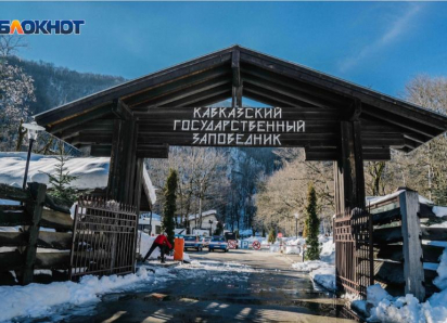 Колония вместо штрафа: пересмотрен приговор компании, нанесший ущерб в 142 миллиона рублей заповеднику Сочи