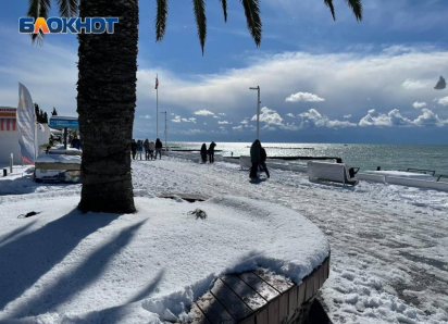 Заморозки ожидаются в Сочи в предновогодние дни