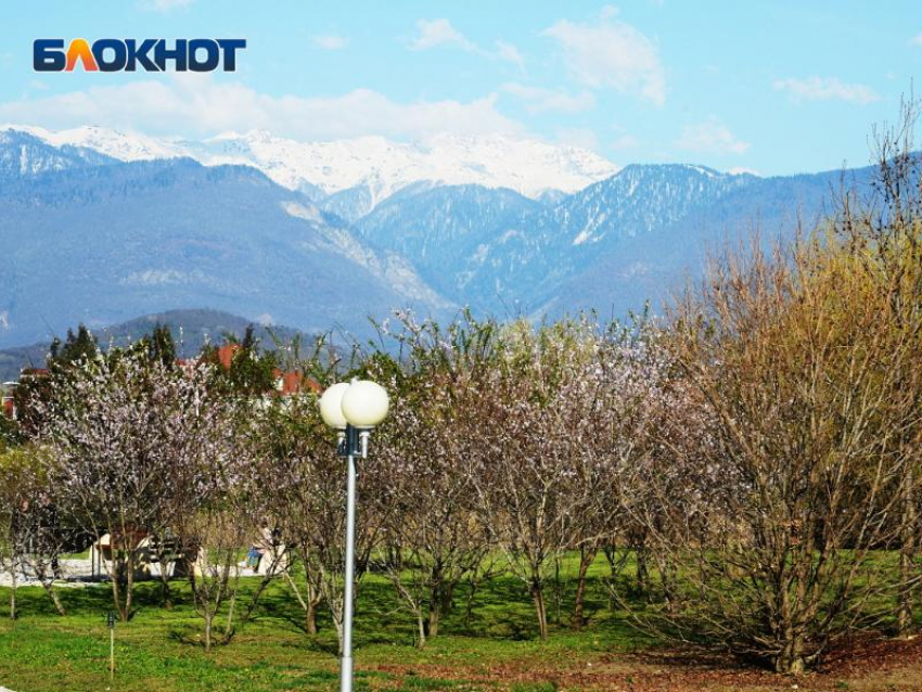 Мощные взрывы и сирена: более 12 часов украинские БПЛА пытались атаковать Сочи