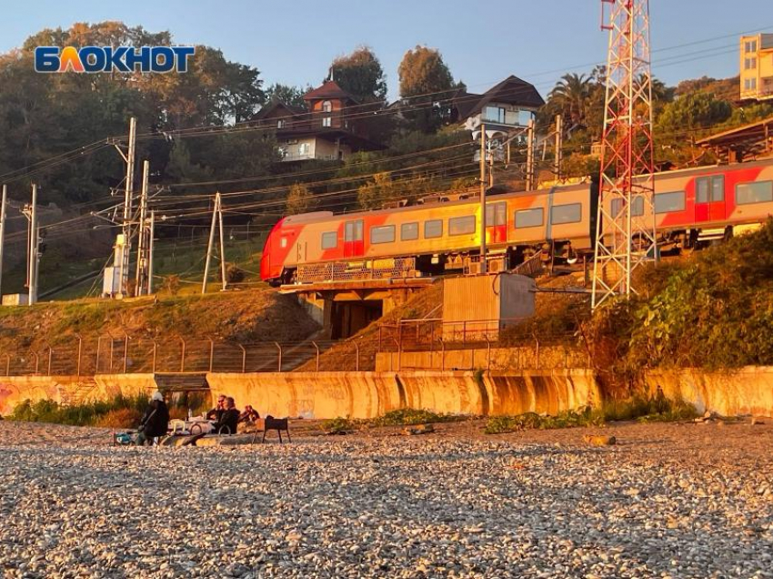 В Сочи 12 поездов задержали из-за упавшего дерева