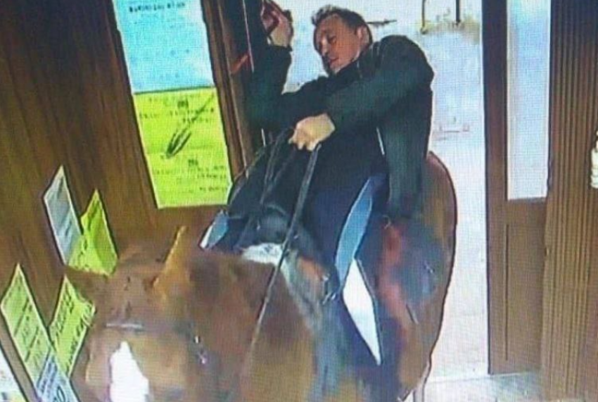 Мужчина посетил супермаркет в Сочи сидя на коне 
