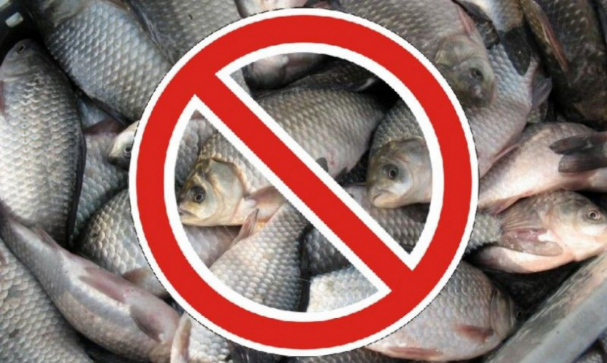 Нерест! Ловля рыбы запрещена