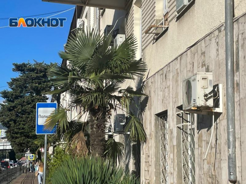 22-летний гость Сочи устроил «гоп-стоп», «приняв на грудь»