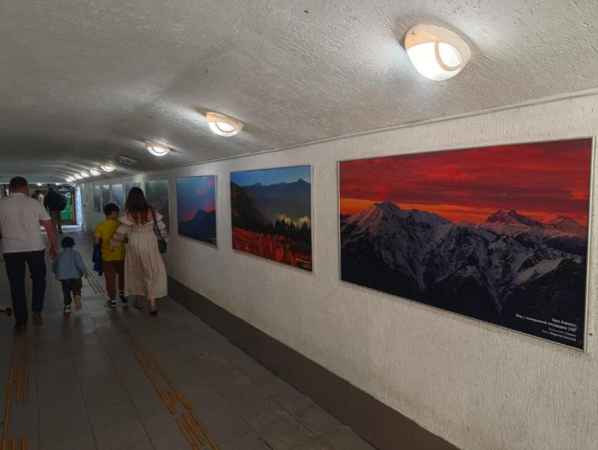 Фотовыставка «Четыре сезона красоты» открылась в Сочи