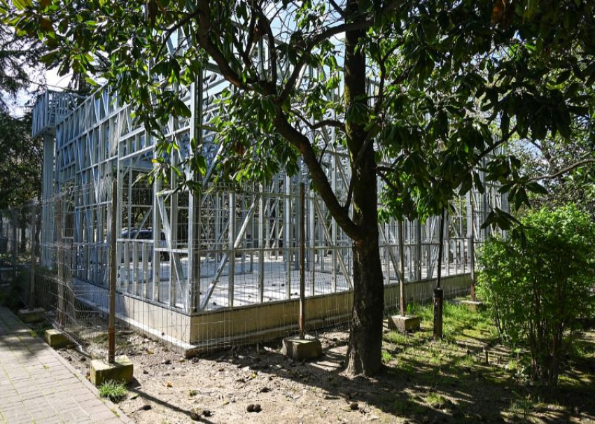 Центр фонда «Защитники Отечества», который помогает участникам СВО, появится в Сочи