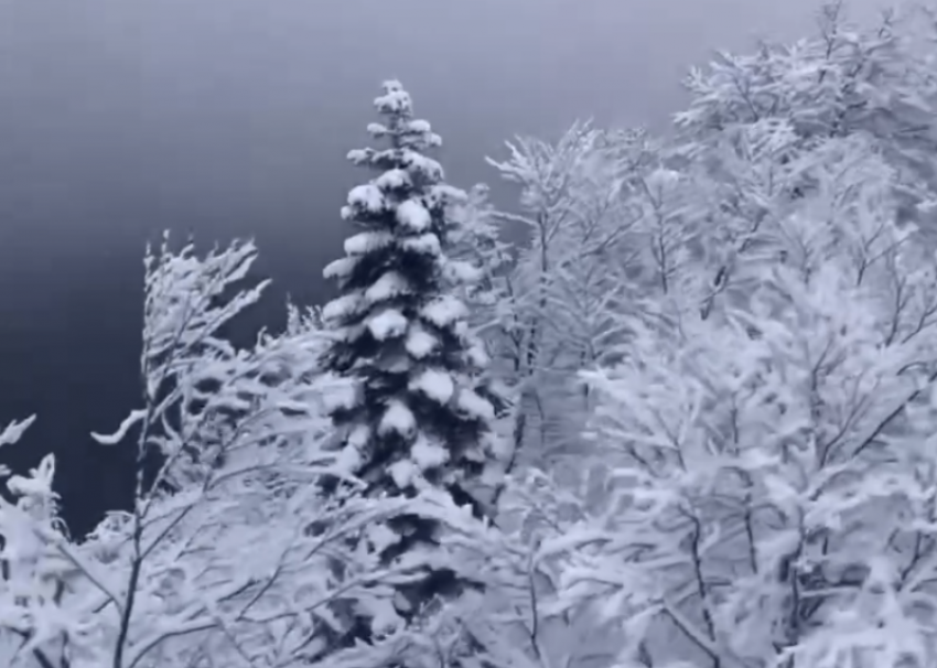 Сочинские горы замело снегом