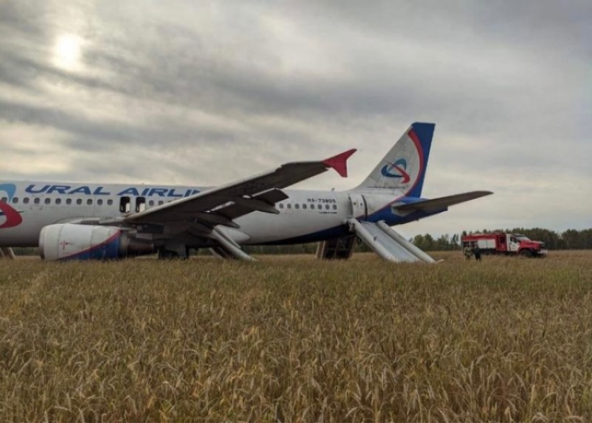 Самолет Сочи-Омск, севший под Новосибирском, останется в поле 