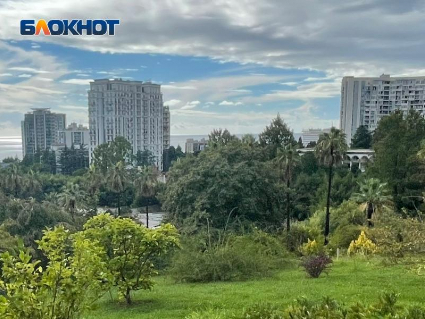 «Сочи стал столицей фальшивой доходности»: эксперт предупредил об опасных схемах для инвесторов