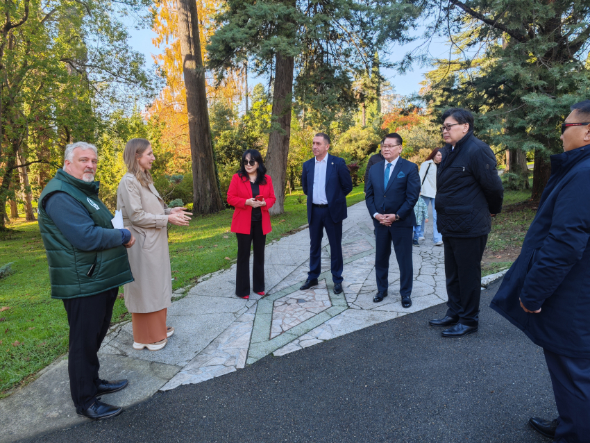 Посол и консул Монголии посетили Дендрарий Сочи