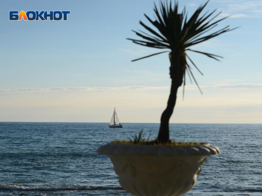 Российские туристы все чаще отказываются от отдыха в Сочи