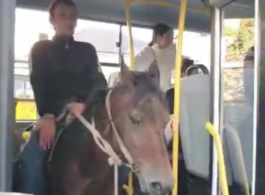 В Абхазии мужчина заехал в автобус на лошади