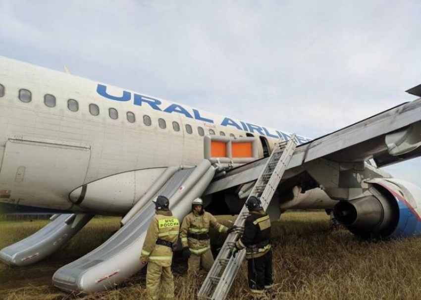 Пилотам, посадившим в поле самолёт Сочи-Омск, предложили уволиться