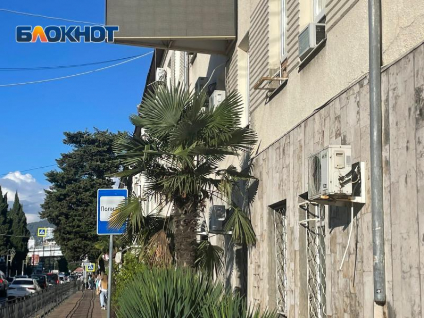 В Сочи задержали грабителя-неудачника, потерявшего паспорт