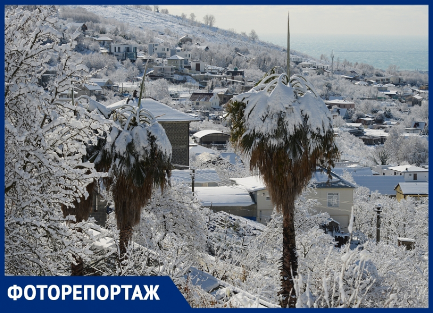 «Зима пришла»: фотографии Сочи под снежной шапкой в репортаже «Блокнота»