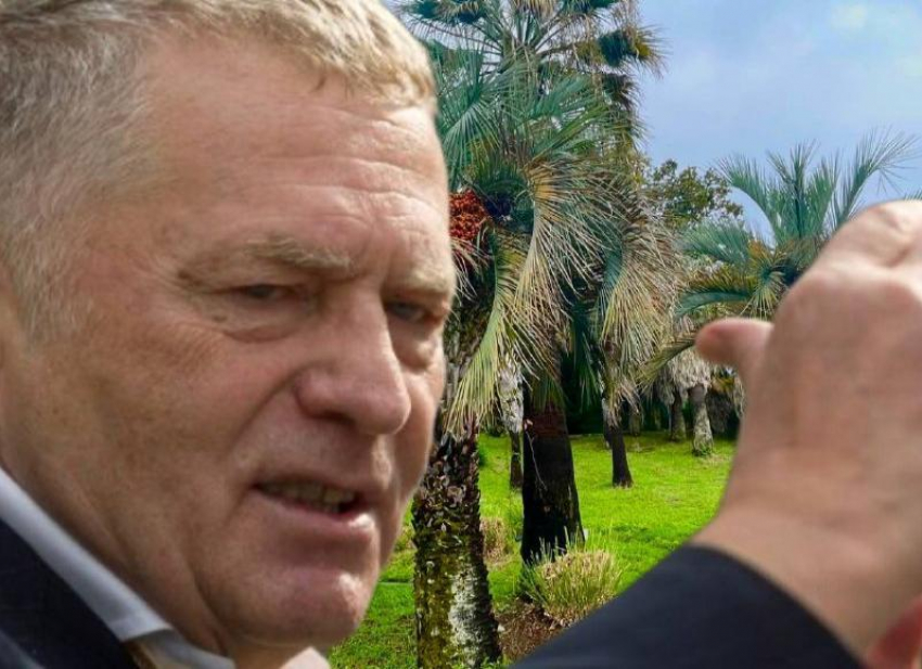 «Вместо Ялты будет Сочи»: раскрыто еще одно предсказание Жириновского о катастрофе в 2026-м году