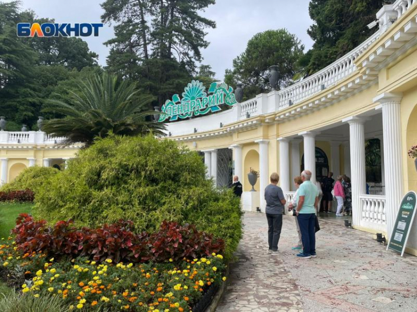 Дендрарий стал лидером лета среди объектов национального парка Сочи