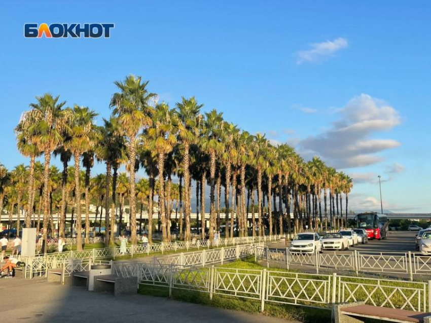 Фестиваль в Сириусе изменит расписание автобусов из Сочи