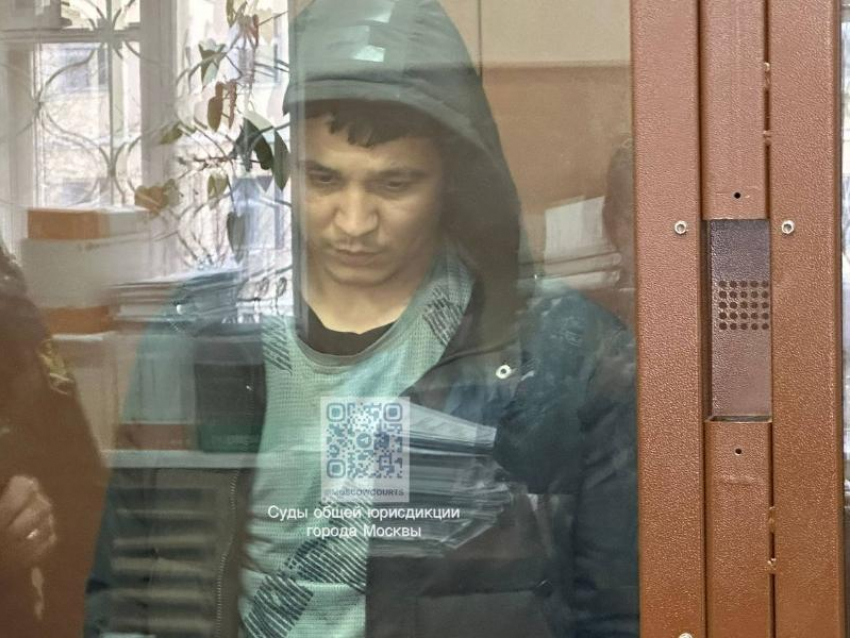 До 3-х лет колонии грозит жительнице Сочи, за легализацию мигранта, устроившего теракт в «Крокус Сити Холле»