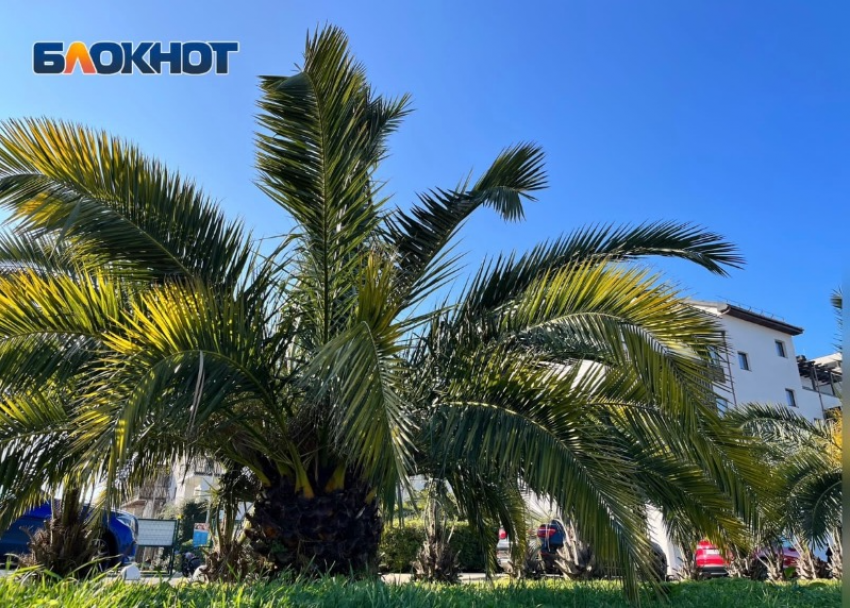 Жителей Сочи предупредили о плохом самочувствии из-за магнитной бури