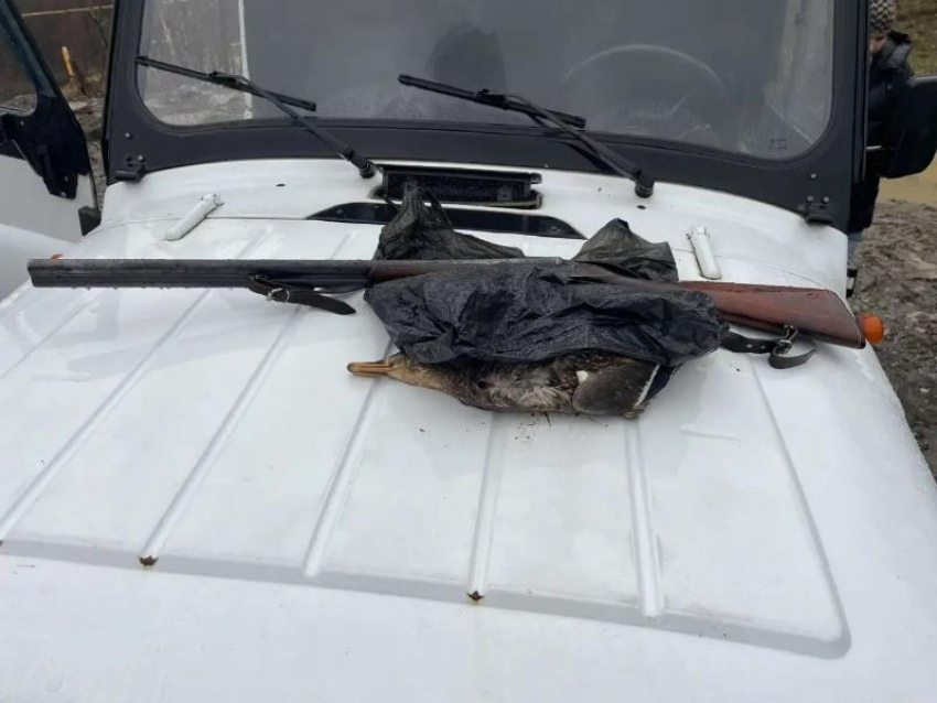 Браконьеров задержали в Сочинском нацпарке