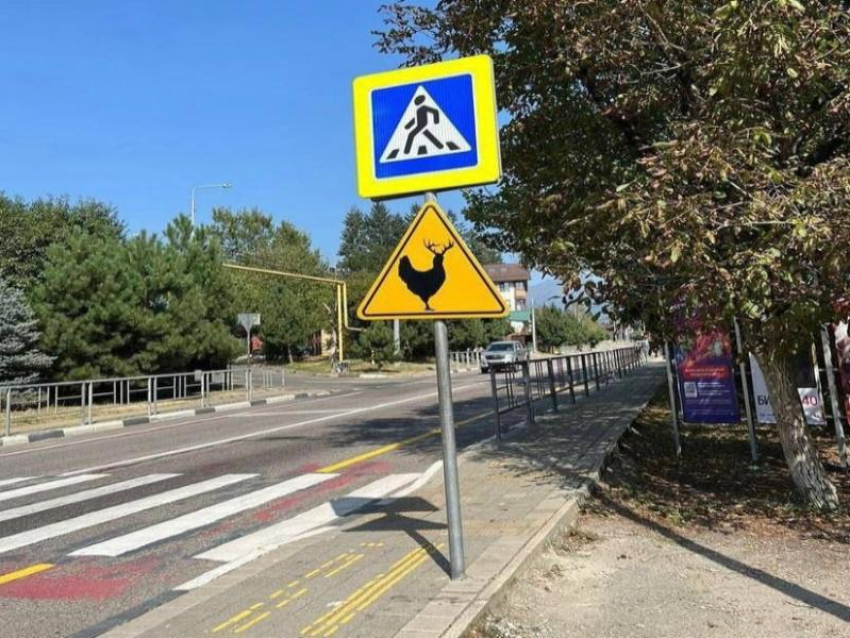 Необычные дорожные знаки появились в Сочи
