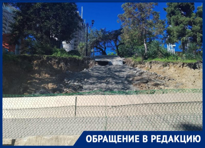  «Не осталось и следа»: в Сочи уничтожили знаменитую мимозу на Приморской набережной