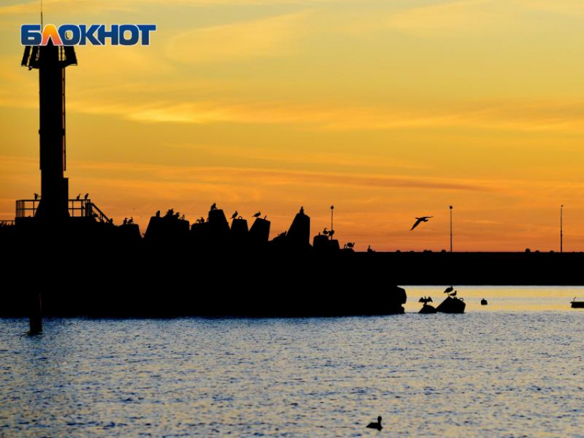 Жителей Сочи возмутило запоздалое предупреждение властей о стрельбах в морпорту