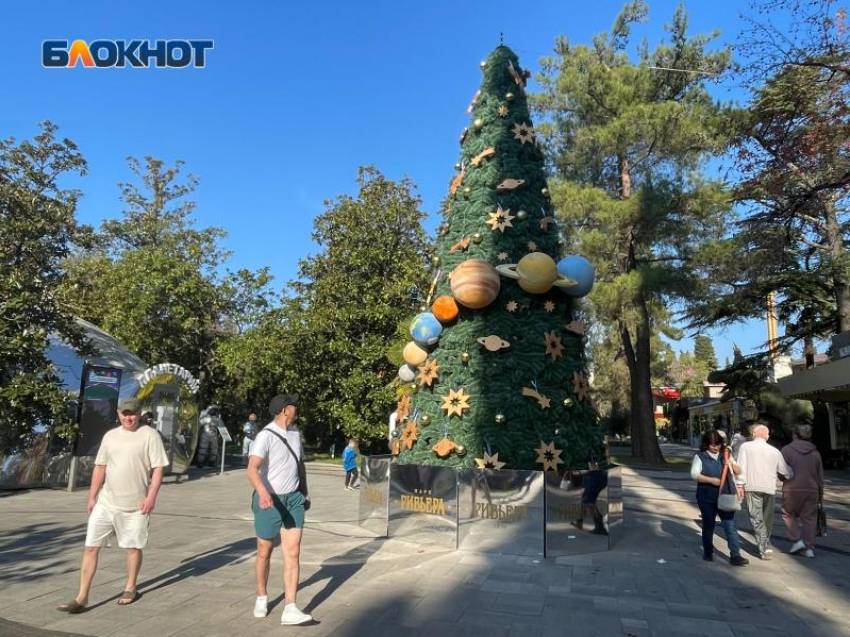 Елки и шорты: новогодняя атрибутика появляется в жарком Сочи