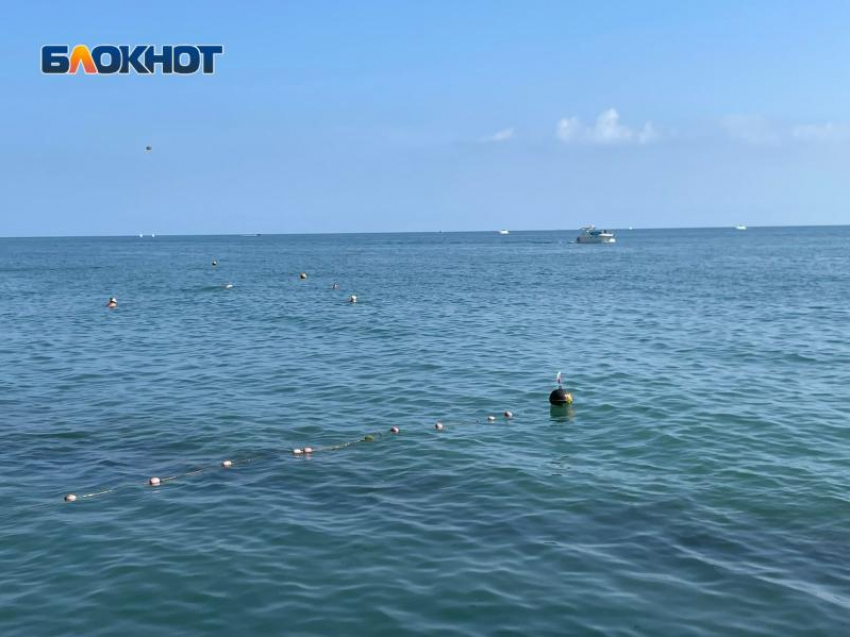 В Сочи запустили фейк о загрязнении Черного моря мазутом