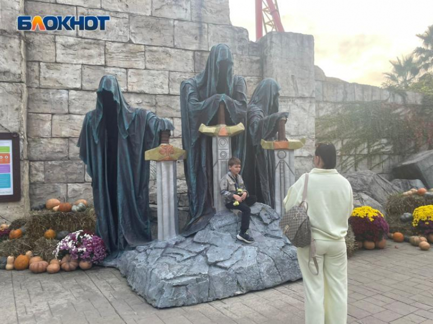 В 2025 году Сочи Парк увеличил доходы MICE-сегмента на 19%